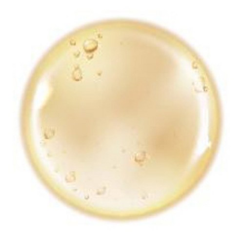 피부 속 탄력을 깨우는 PDRN 앰플, 더마팩토리로 경험하세요.