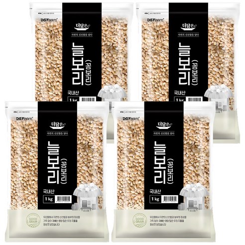 더담은 국산 늘보리 꽁보리, 1kg, 4개