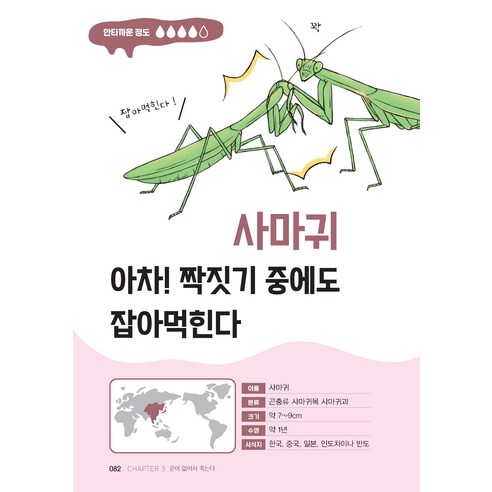 國產圖書圖書BOOK圖書圖書國產圖書兒童兒童幼兒小學生小學生小學生
