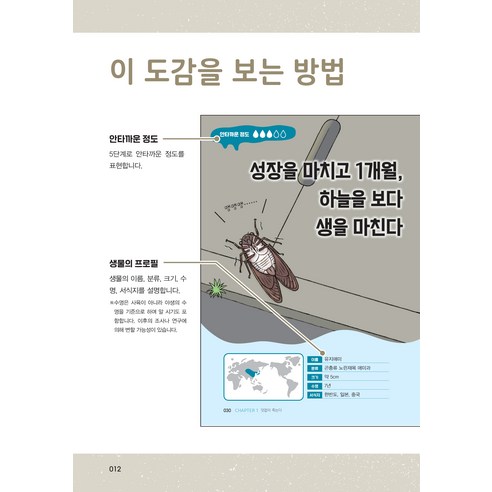 國產圖書圖書BOOK圖書圖書國產圖書兒童兒童幼兒小學生小學生小學生