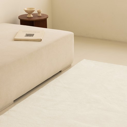 🐶 🐾 뽀송한 우리 집 완성 보웰 워셔블 카페트 사용 후기