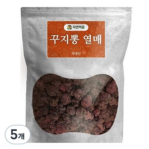 자연먹음 꾸지뽕 건열매, 100g, 5개