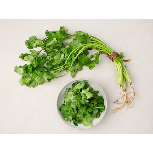 향긋한 미식 경험, 집에서 즐기는 신선한 국내산 고수