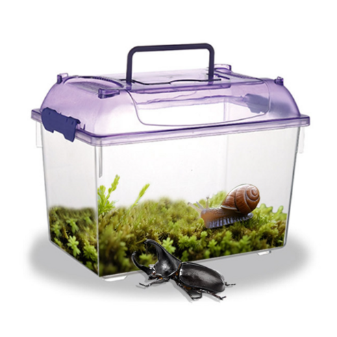 작은 공간에 행복을 더하는 투명한 아쿠아비 이동식 채집 어항