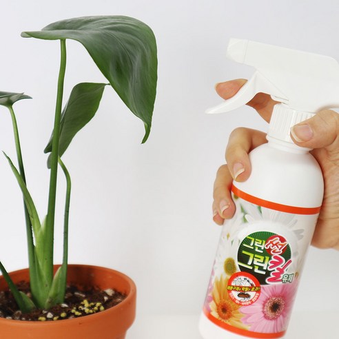 식물용 살충제 중에서도 앙플랜트 그린썬 그린킬은 로켓배송과 저렴한 가격으로 많은 사람들에게 선택을 받고 있는 제품이다.