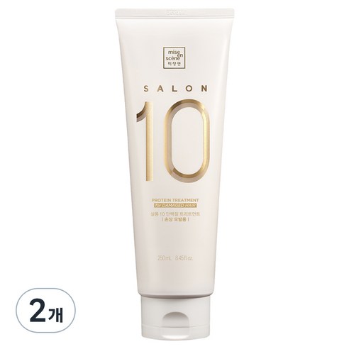 미쟝센 살롱 10 헤어트리트먼트 (손상모발용) 250ml, 2개 세트 
헤어