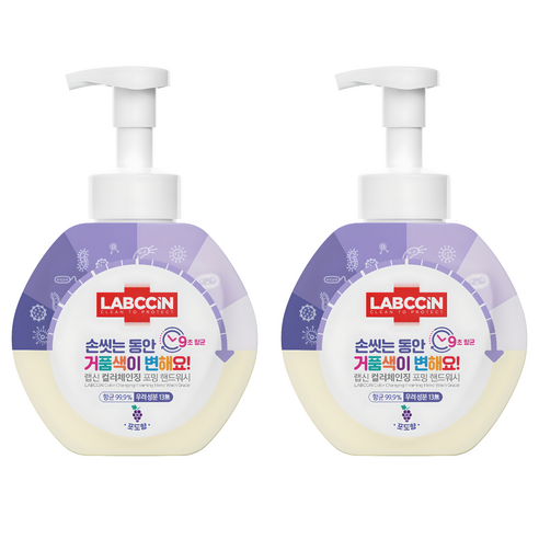랩신 컬러체인징 포밍 핸드워시 포도향, 500ml, 2개