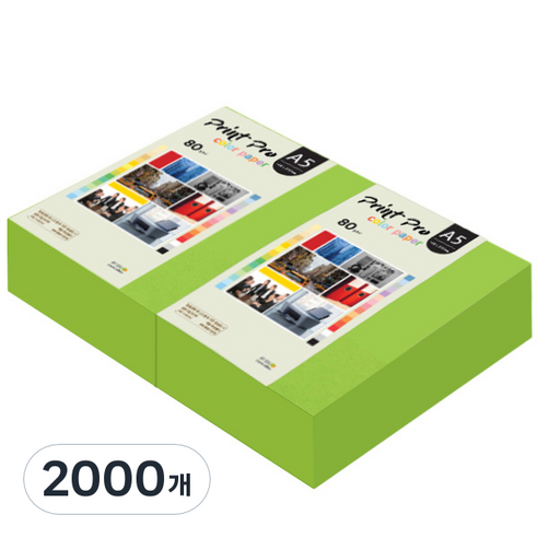 종이문화 프린트 프로 칼라복사지 No.10 후레쉬그린 80g, A5, 2000개