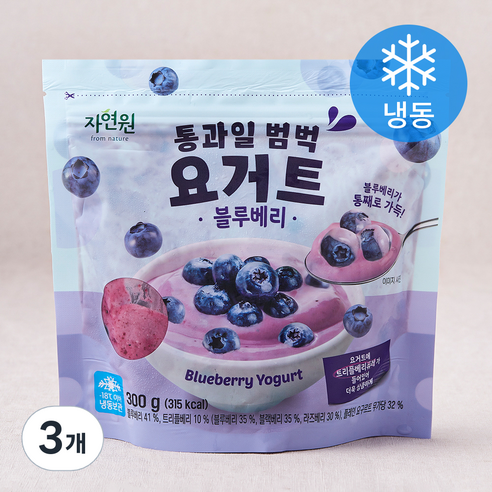 자연원 통과일 범벅 요거트 블루베리 (냉동), 300g, 3개