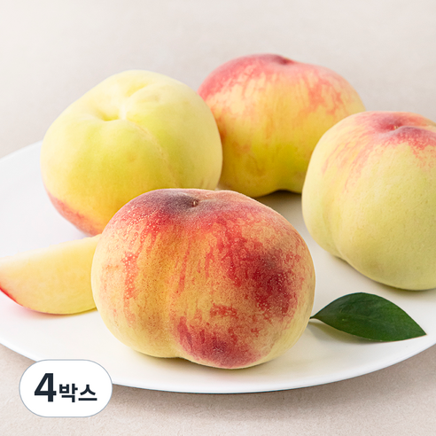 한옥토 국내산 GAP 인증 부드러운 백도복숭아, 1.25kg(4~6입), 4박스
