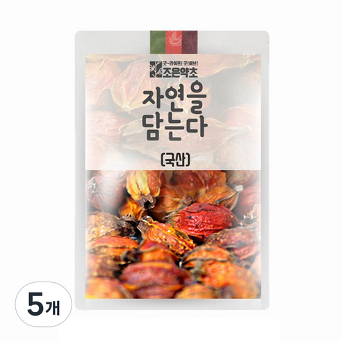 조은약초 치자, 200g, 5개
