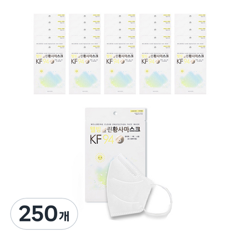 웰빙클린 황사마스크 소형 KF94 화이트, 1개입, 250개