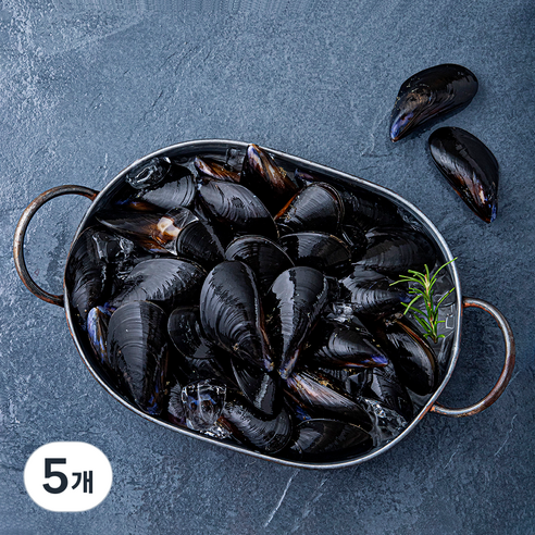 바다자리 생물 홍합 (냉장), 2kg, 5개