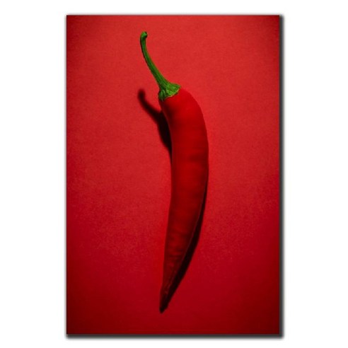 파랑디자인 캔버스 액자 - 사진, 고추