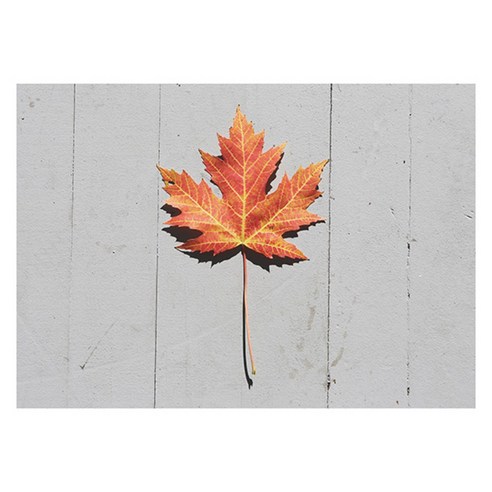 북유럽 스타일 인테리어액자 (A1), art no. 0265