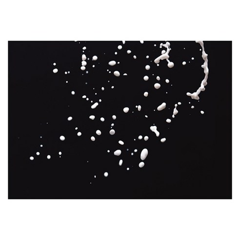 북유럽 스타일 인테리어액자 (A1), art no. 0160