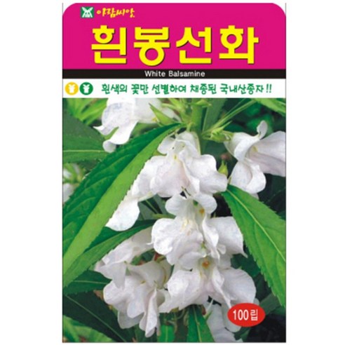 저스틴앤클로이 흰봉선화100립 고급꽃씨, 3개
