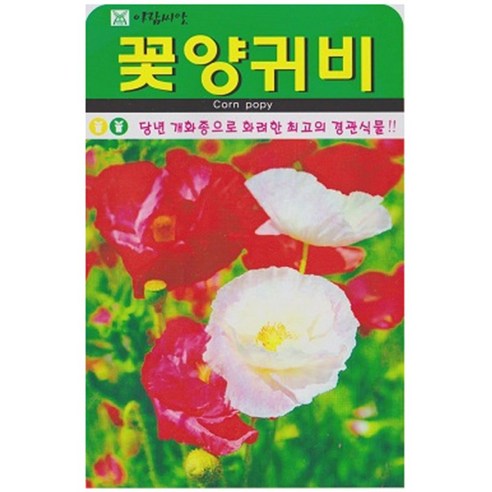 저스틴앤클로이 꽃양귀비1000립 야생화종자, 3개
