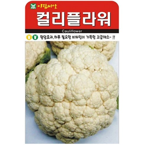 저스틴앤클로이 컬리플라워50립 채소잎, 2개