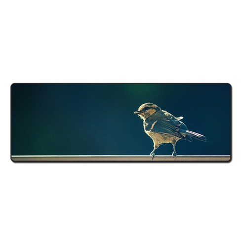 더파슬리 포토 데스크매트 와이드사이즈 가로 80cm x 세로 30cm, 1개, MP 66101