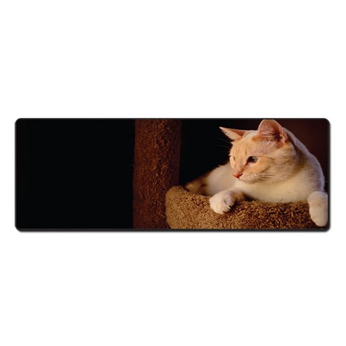 더파슬리 포토 데스크매트 와이드사이즈 가로 80cm x 세로 30cm, 1개, MP 66053
