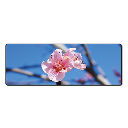 더파슬리 포토 데스크매트 와이드사이즈 가로 80cm x 세로 30cm, 1개, MP 66127