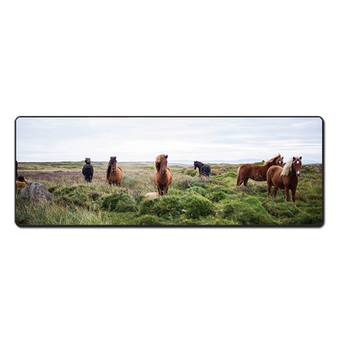 더파슬리 포토 데스크매트 와이드사이즈 가로 80cm x 세로 30cm, 1개, MP 66136