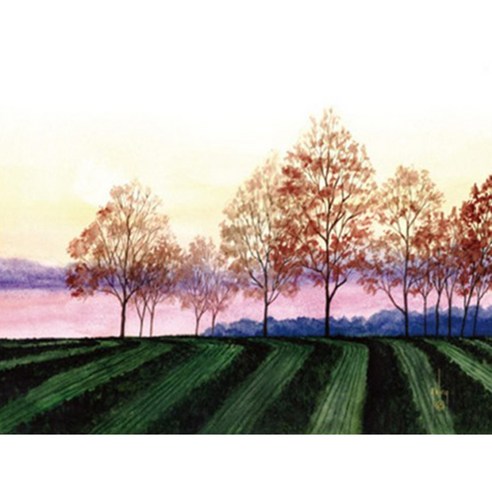 월니크 내외부용 (287x210mm)+(287mm x60mm) 노트북보호스킨, QLS-002, 1개