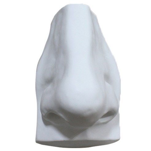 MORYARTS 인체 코 석고상, 1개, 20 x 13 cm