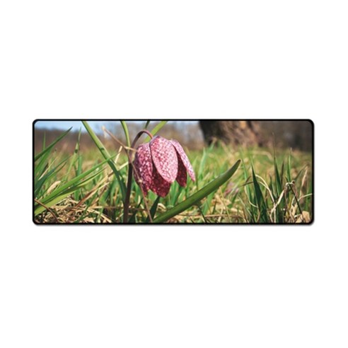 더파슬리 보테니컬 스퀘어 데스크매트 와이드사이즈 80 x 30 cm, GM77528, 1개
