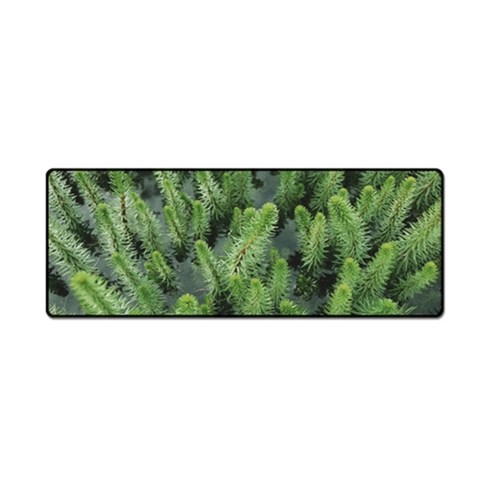더파슬리 보테니컬 스퀘어 데스크매트 와이드사이즈 80 x 30 cm, GM77604, 1개