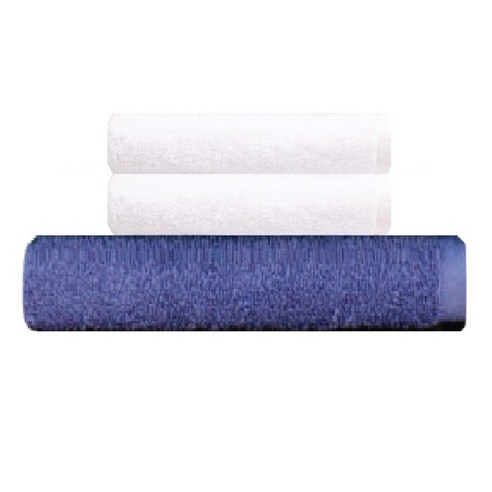 송월 타월 호텔용 바스타월 파랑 + 170g 40수 프리미엄뉴컬러 타월 2p, 화이트, 1세트