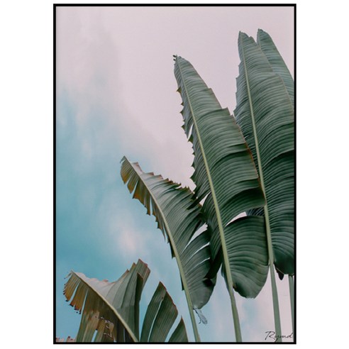 RYMD 바나나 리프 수지 액자, 블랙