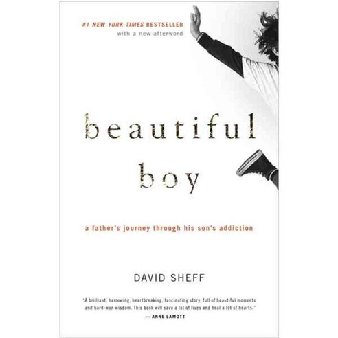 [해외도서] Beautiful Boy, Mariner Books