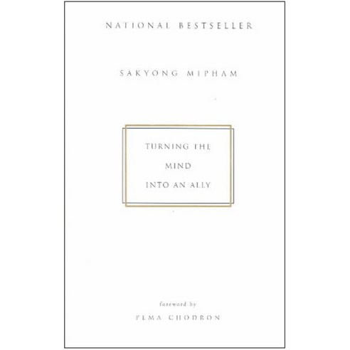 [해외도서] Turning the Mind into an Ally, Riverhead Books
