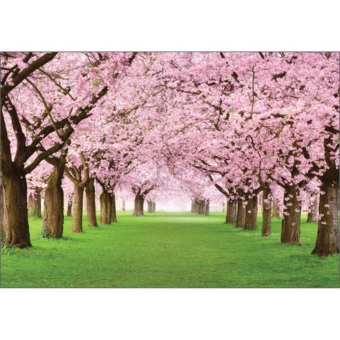 퍼즐코리아 꽃이 만발한 벚꽃나무와 녹색정원 직소퍼즐 3207, 2000피스, 혼합 색상, 2000피스
