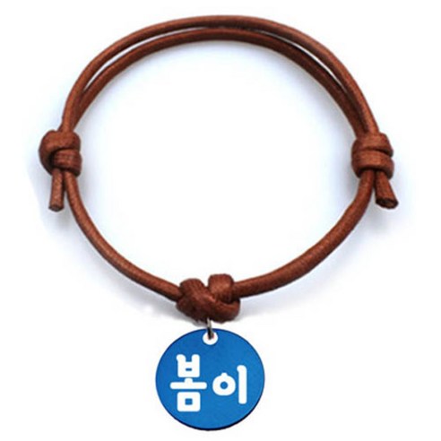 펫츠룩 반려동물 굿모닝 카라멜 목걸이S 원형블루S, 봄이, 1개