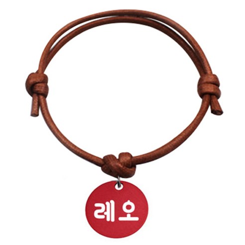 펫츠룩 굿모닝 카라멜 반려동물 목걸이 S 알미늄원형 팬던트 M, 레드(레오), 1개