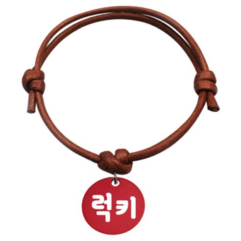 펫츠룩 굿모닝 카라멜 반려동물 목걸이 S 알미늄원형 팬던트 M, 레드(럭키), 1개