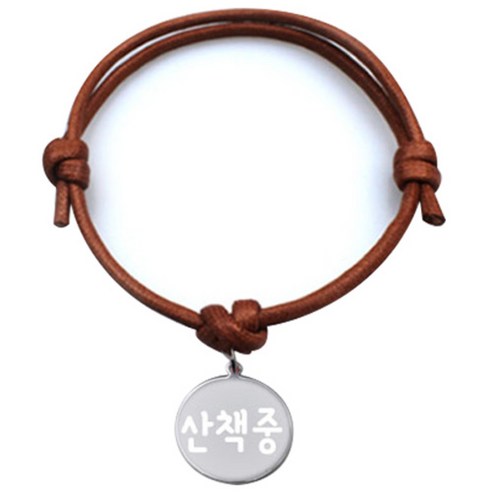 펫츠룩 굿모닝 카라멜 목걸이S 메탈원형S, 실버(산책중), 1개