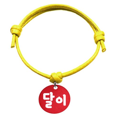 펫츠룩 굿모닝 옐로 반려동물 목걸이 S 알미늄원형 팬던트 M, 레드(달이), 1개