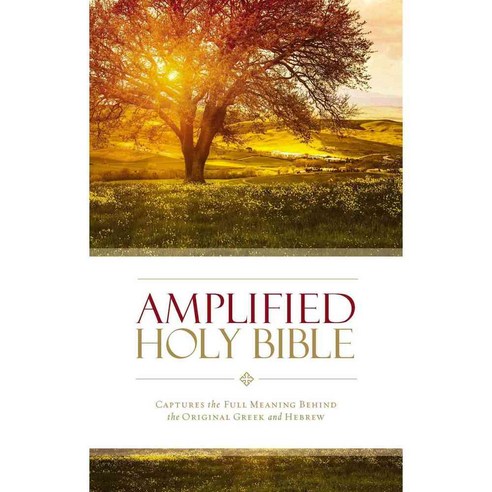 Holy Bible: Amplified Captures the Full Meaning Behind the Original Greek and Hebrew, Zondervan