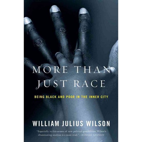 More Than Just Race: Being Black and Poor in the Inner City, W W Norton & Co Inc