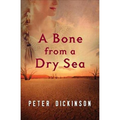 A Bone from a Dry Sea, Open Road Media Teen & Tween
