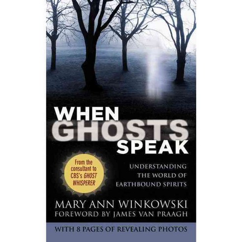 When Ghosts Speak: Understanding the World of Earthbound Spirits, Grand Central Pub