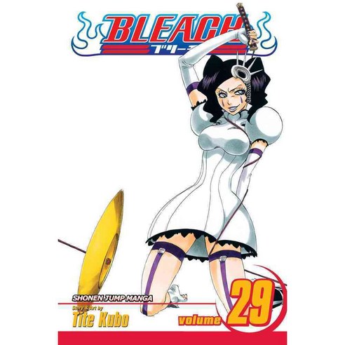 Bleach 29, Viz