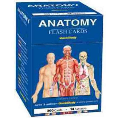 Anatomy, Quickstudy