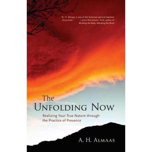 The Unfolding Now: Realizing Your True Nature Through the Practice of Presence, Shambhala Pubns