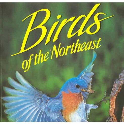 Birds of the Northeast, World Pubns