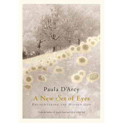 A New Set of Eyes: Encountering the Hidden God, Crossroad Pub Co